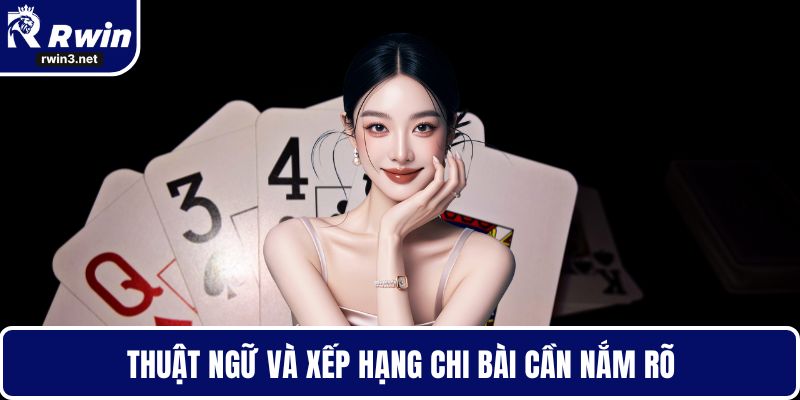 Thuật ngữ và xếp hạng chi bài cần nắm rõ